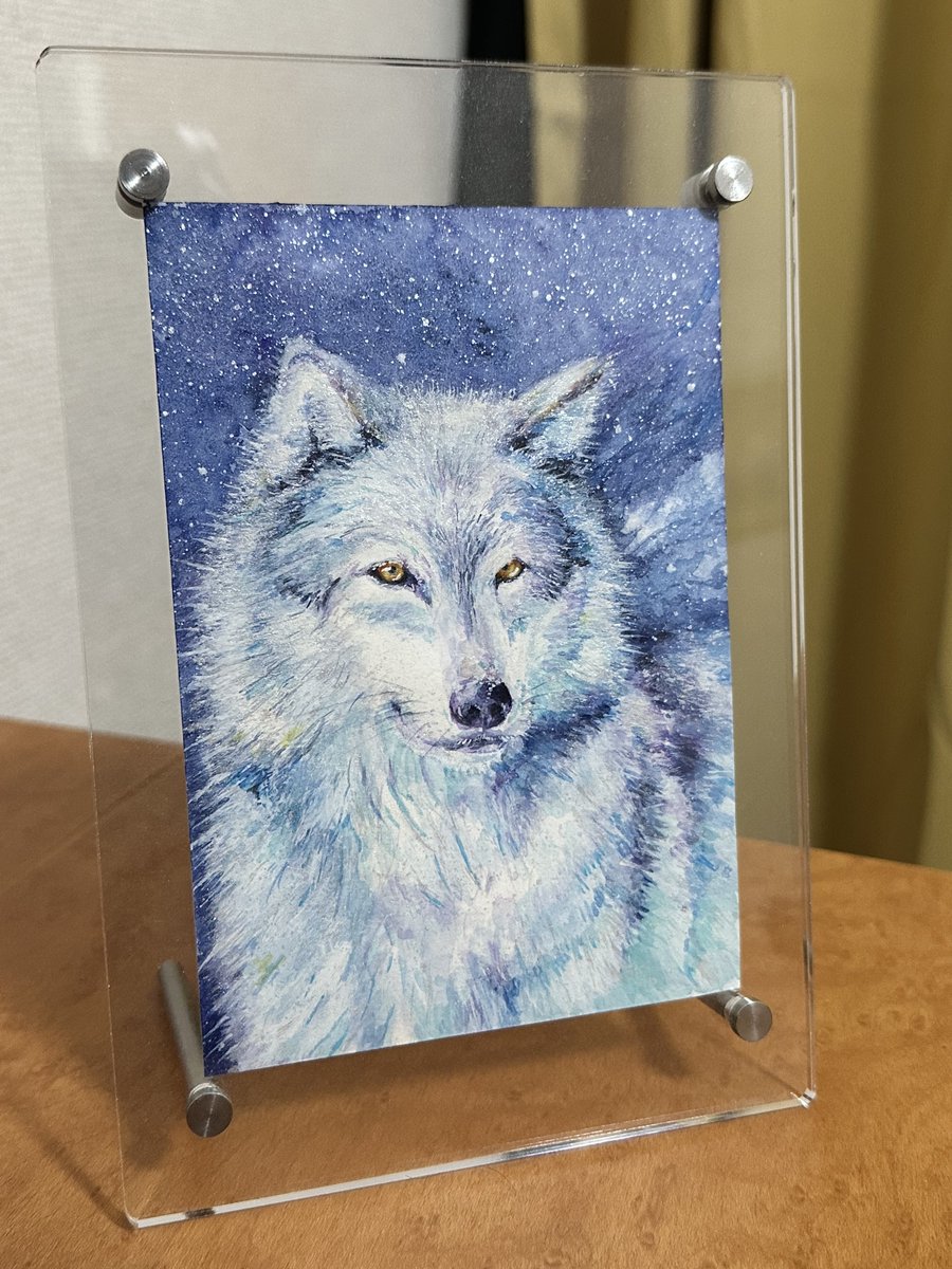 6年前 ももさんの作品をTLでお見かけした時、 描かれた動物達がまるで