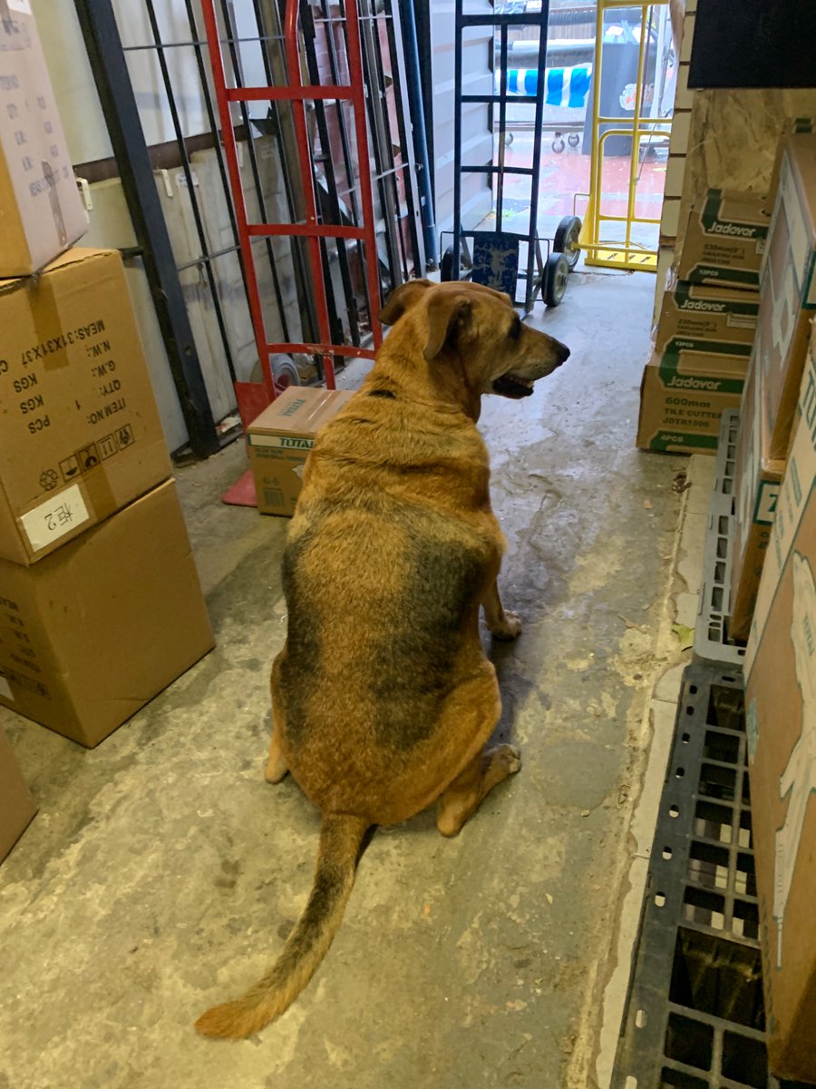 sentate tranquilo nomas