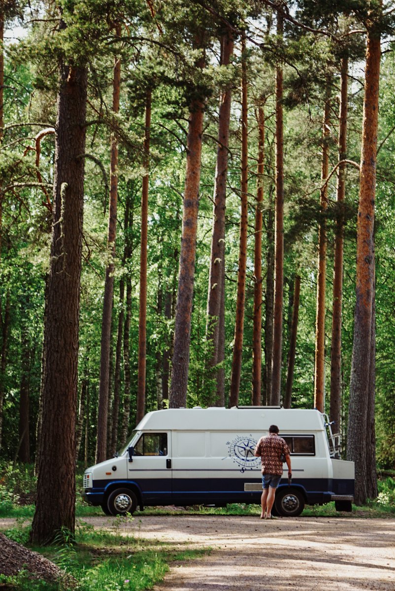 Liv 🌲 tweet media