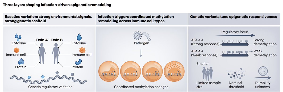 Eric Topol tweet media