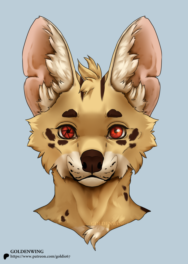 Goldenwing672's tweet photo. Hello, I'm Golden! I'd like to get into VGen! Please help me with 🔁20 and ❤️100 likes to make it happen^^  Thank you for helping me out:D
#VGenCode https://t.co/Zl56CdMhaa