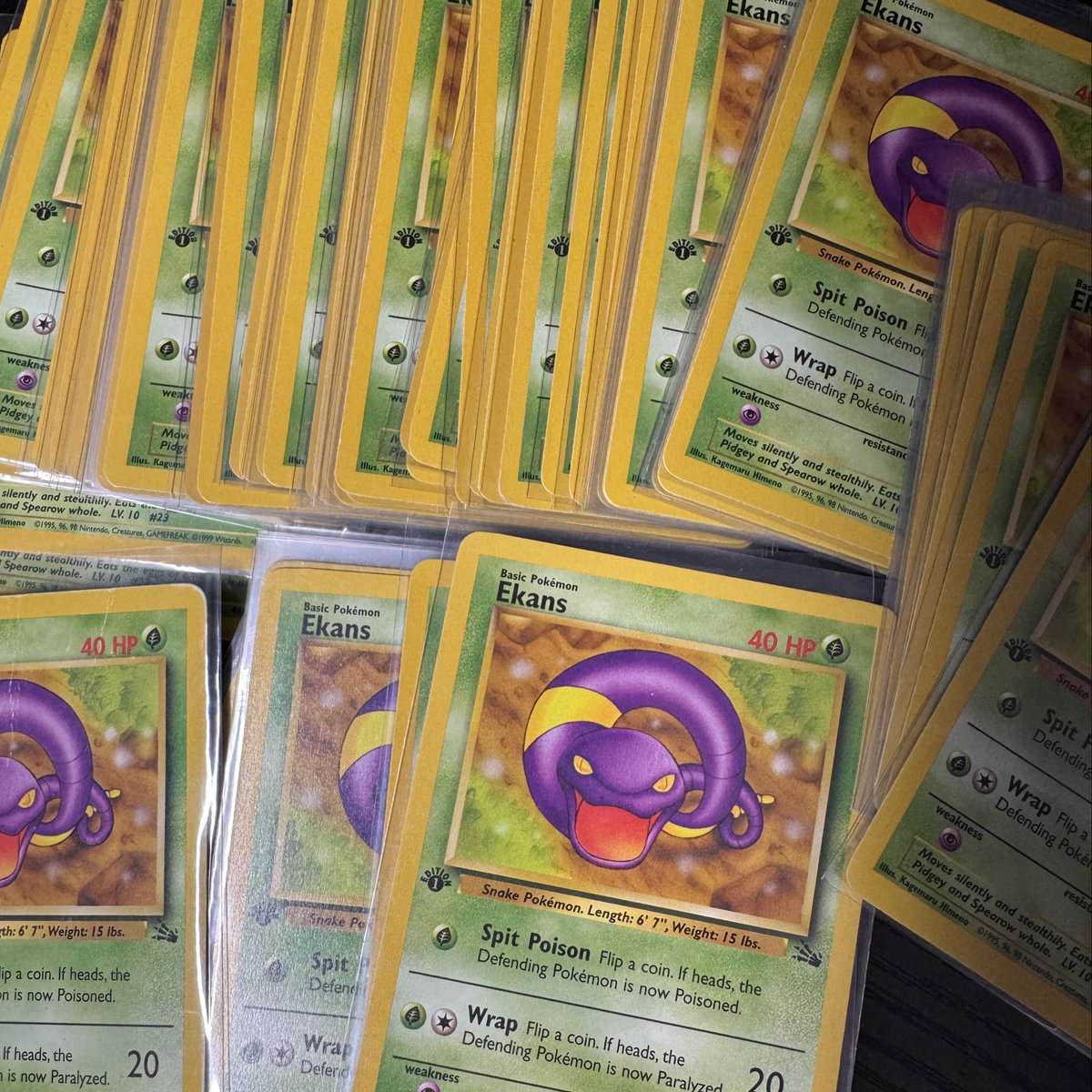 I love all my children, all 250+