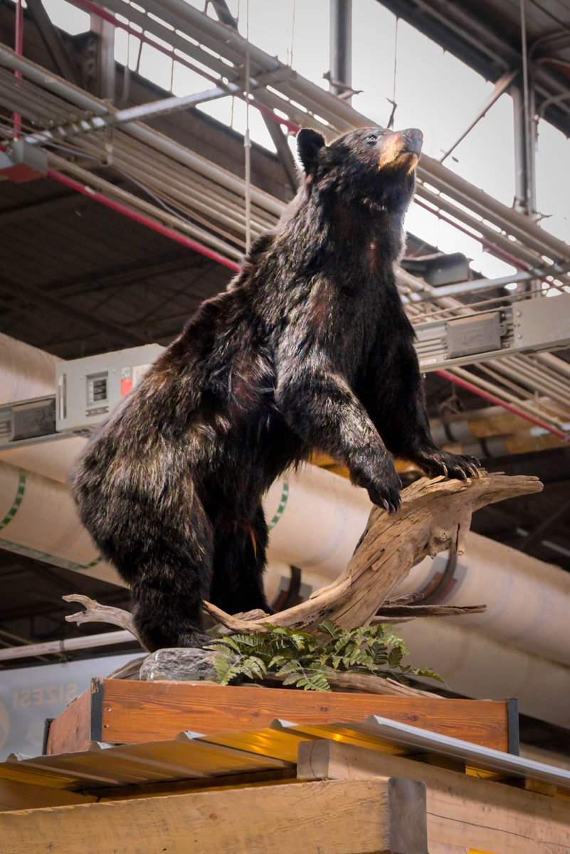 PA Farm Show Complex tweet media