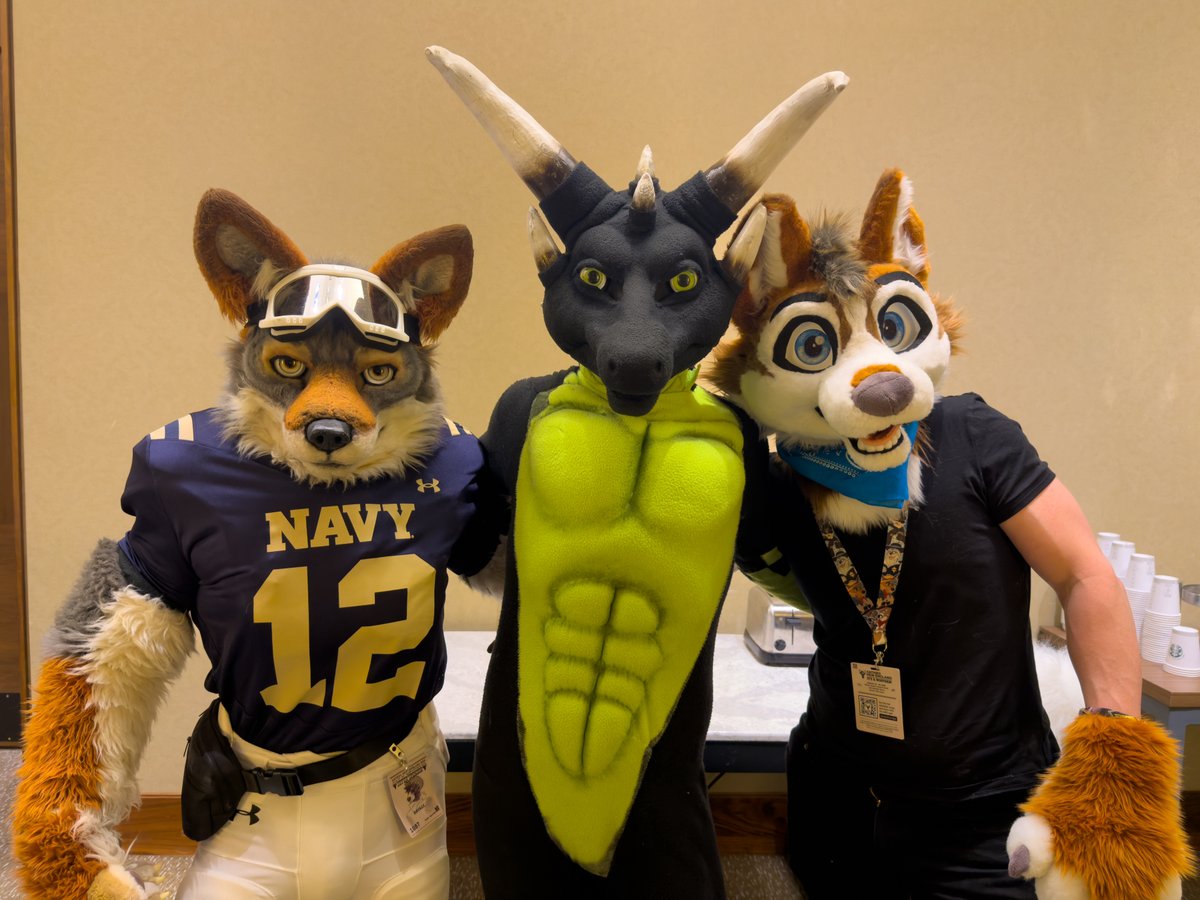 Tegon 🔜 FWA/AC tweet media