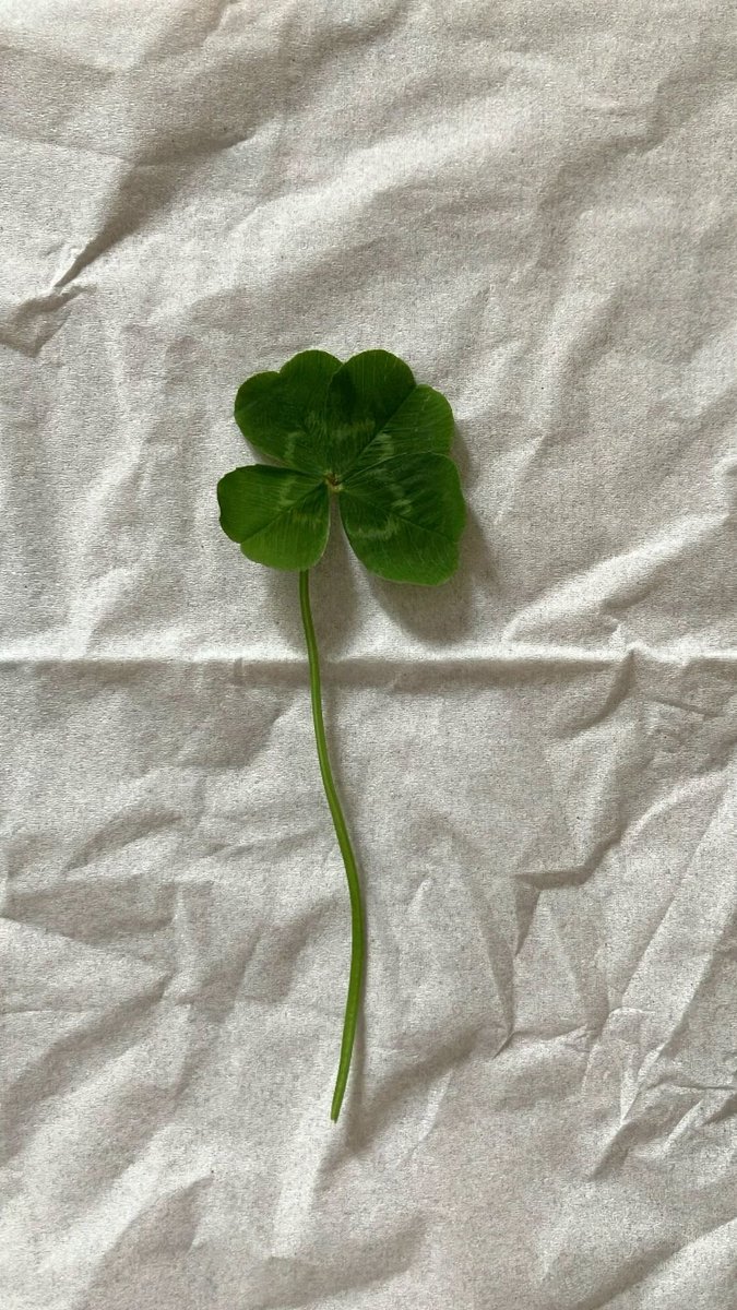 이 글 본 사람은 알티하고 2026년 행운 받아가세요🍀