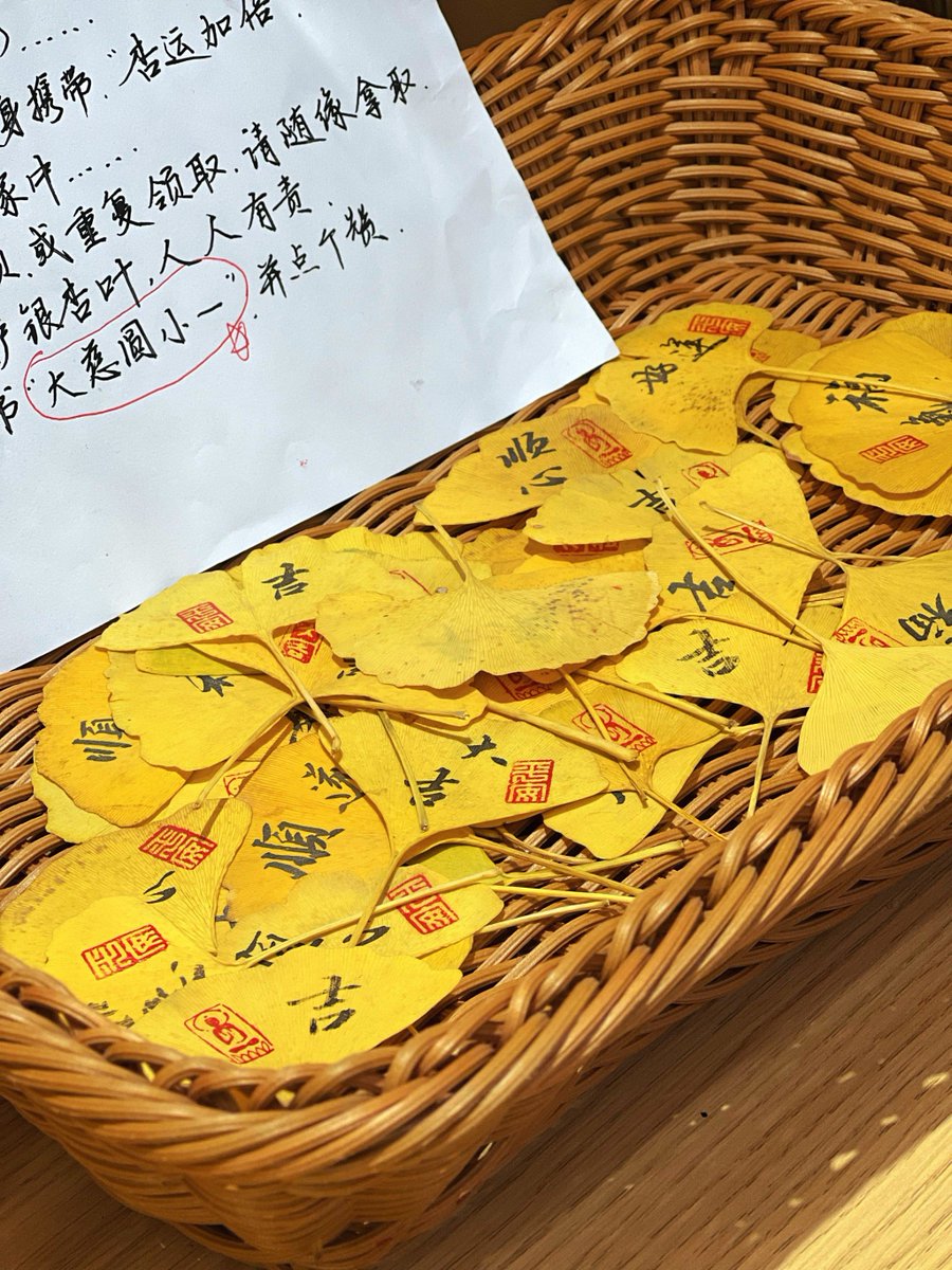 GunkelMaxi37965's tweet photo. 周末陪娃蹲阳台数蚂蚁、用落叶拼小怪兽，简单小事里藏着最暖的笑～亲子时光不用复杂，用心就好 https://t.co/Ie8zXXAcv6