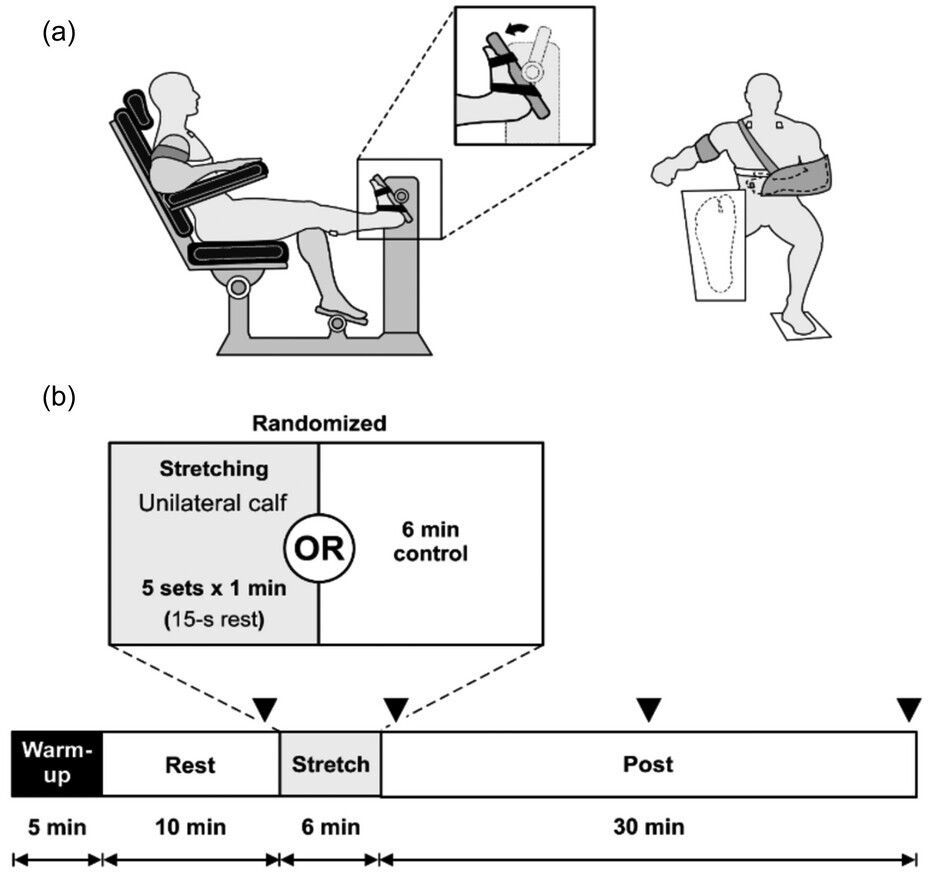 Experimental Physiology tweet media