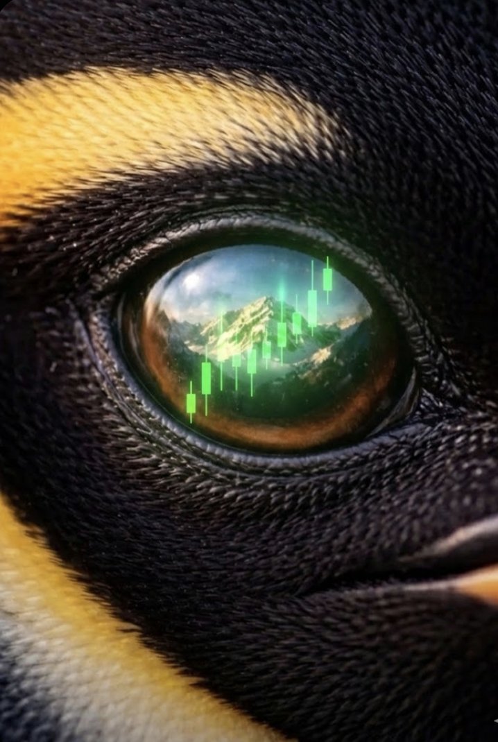 observe and wait the good timing.