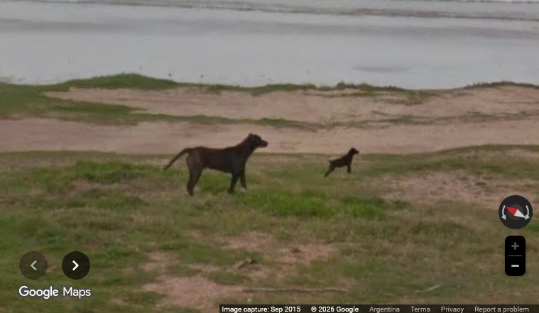 selfiprensi's tweet photo. [URGENTE] en google maps con mama !! https://t.co/cQvlbAQL7s