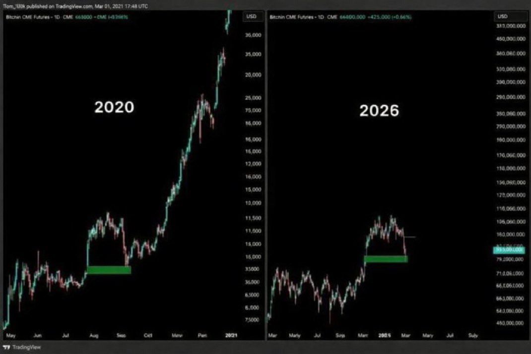 cryptofergani's tweet image. Are you ready for the pump?