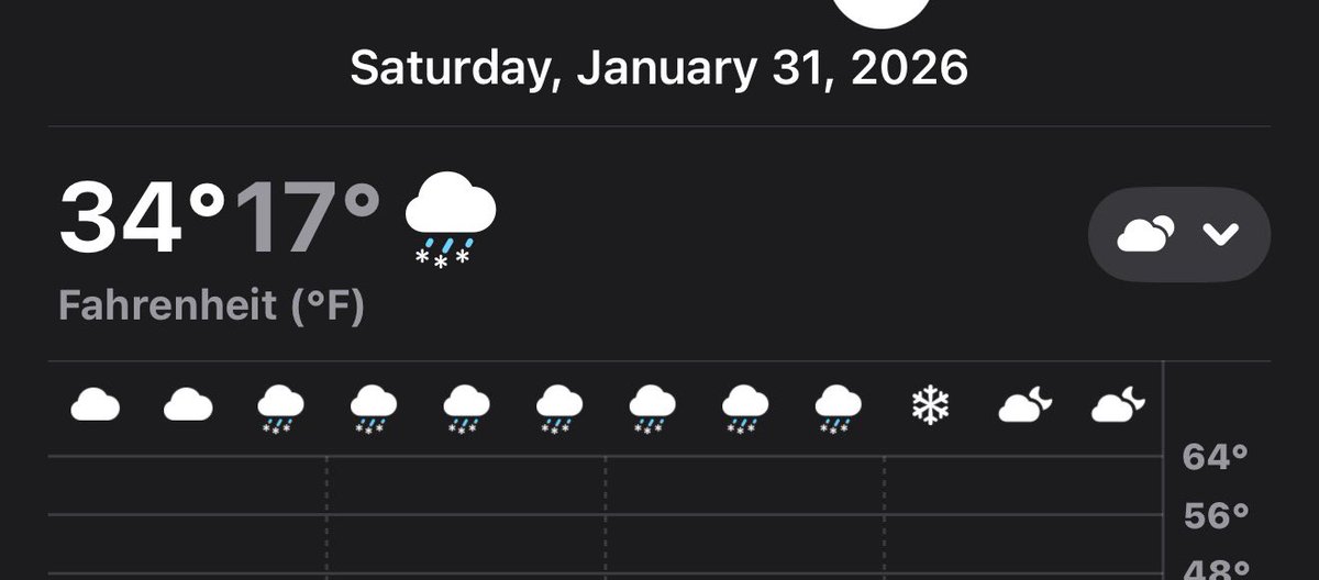 Sara Allen tweet media