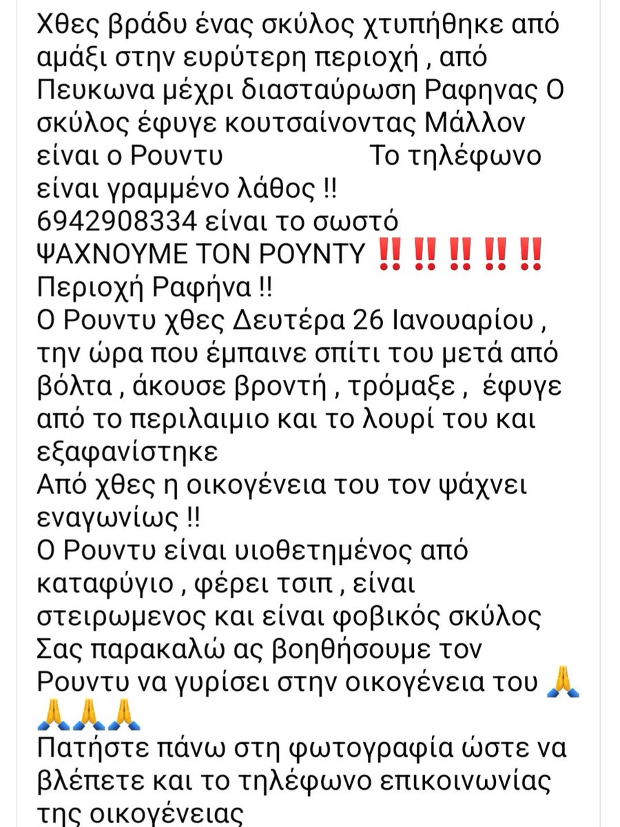KatKatPt's tweet photo. 🆘️🆘️🆘️
Χθες βράδυ ένας σκύλος χτυπήθηκε απο αμάξι στην ευρύτερη περιοχή Πευκωνα μεχρι διασταύρωση Ραφήνας κ έφυγε κουτσαινοντας
Μάλλον είναι ο σκυλάκος που αναζητούν στη φώτο ο Ρουντυ,στειρωμενος με τσιπ,φοβικος αλλά φιλικός
Αν τον εντοπίσετε καλέστε άμεσα στο τηλ
Rt🙏🙏🙏 https://t.co/dFWvwuHeTV