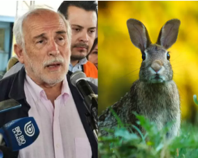Iherreraa's tweet photo. Hace dos años fueron los conejos incendiarios.  Hoy es por cocinar pollo con arroz en una cocinilla que quedó intacta.  Alguien puede creer semejante tontería? https://t.co/Y3BJpdMwdZ