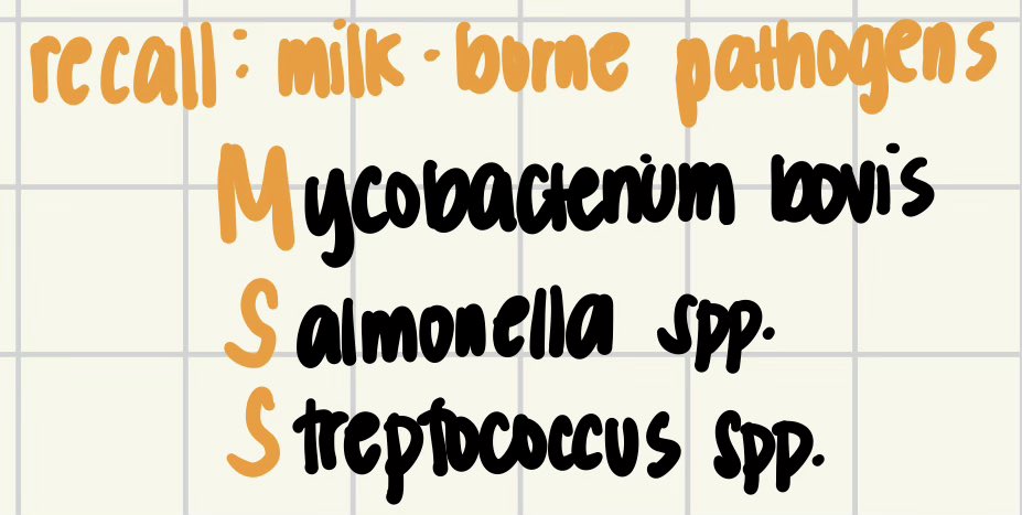 lili🪷 tweet media