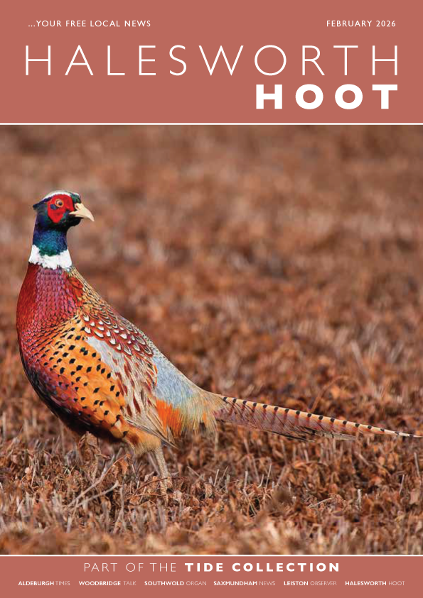 Tide Collection tweet media