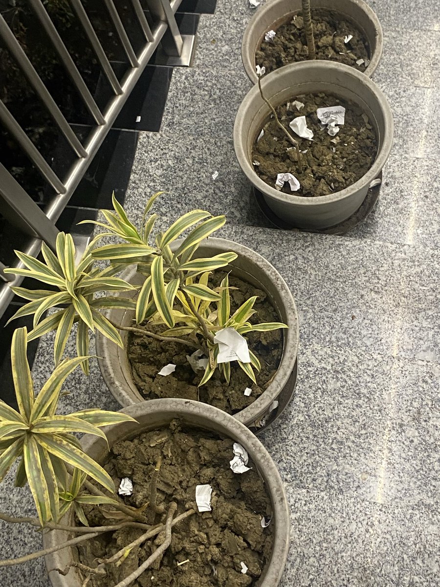 badfilmakers's tweet photo. @myogiadityanath @officialUPMRC @UPGovt kisi bhi  kanpur metro station par exit par ek bhi dustbin nahi. Kya ₹200 ka dustbin nahi lagaya ja sakta exit par taaki gandagi na ho? Manniya cm ji ispe kripya dhyaan de. Ye saaf metro ki shobha bigad raha. Ek dustbin bhi kaam krega! https://t.co/Eq11qvEyQ9