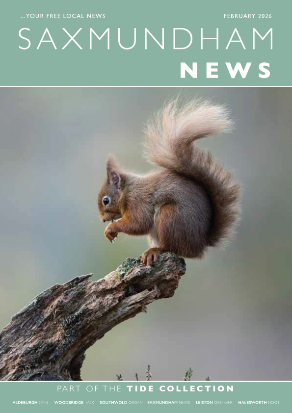 Tide Collection tweet media