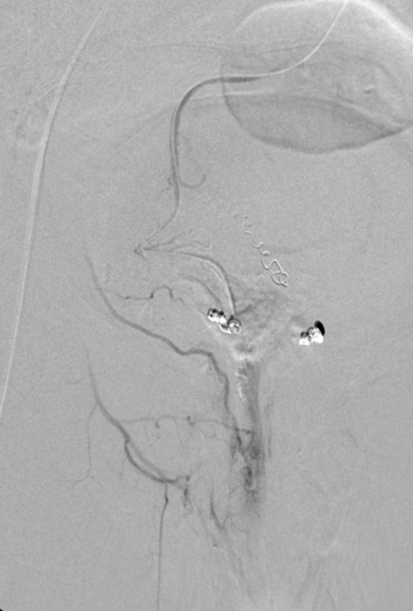 Osman Ahmed tweet media