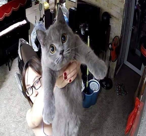 *verónica abre a porta da cabine*

pen e greg: