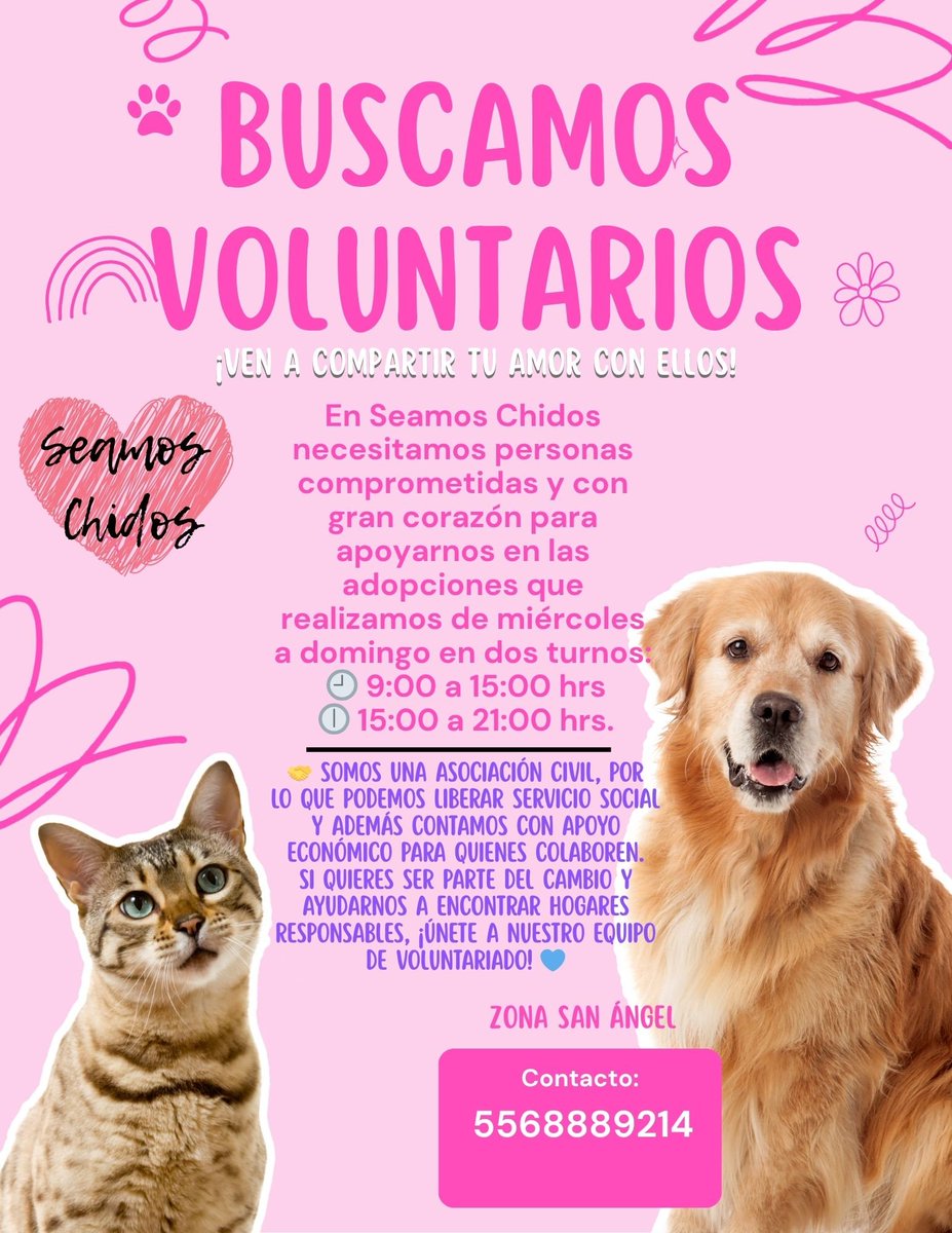 La LLama que Shama (@lallamaqueshama) on Twitter photo 