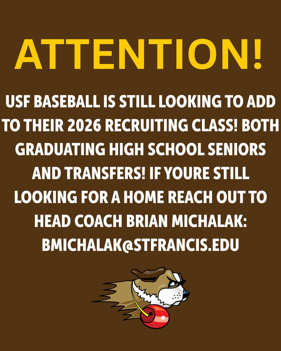 USF Saints Baseball tweet media