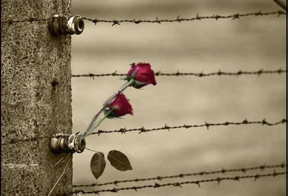 GIORNATA DELLA MEMORIA: un momento di profonda e doverosa riflessione.
Leggi il comunicato completo su: 
cammino.org/giornata-della…