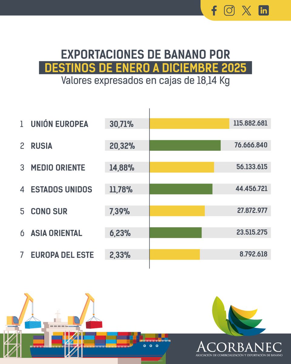 Acorbanec tweet media