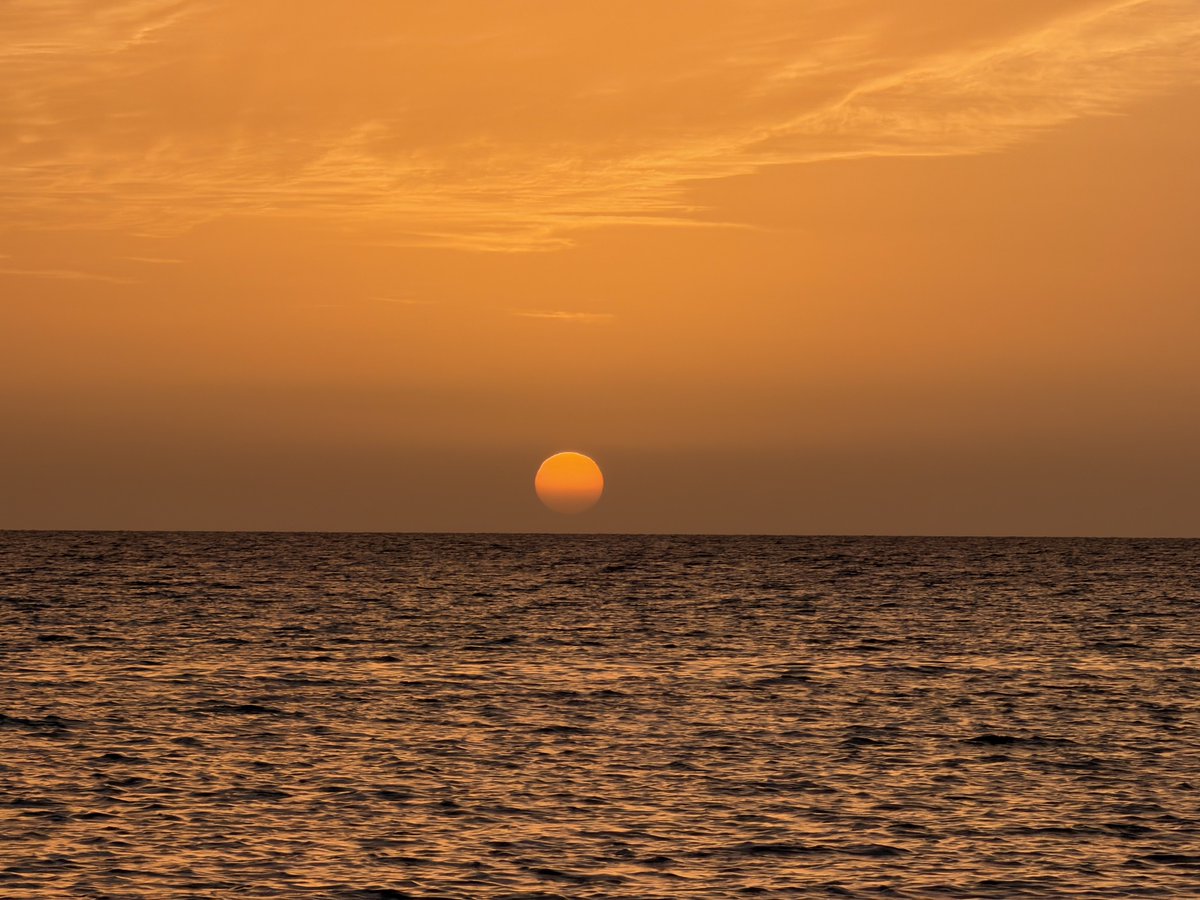 llllY77's tweet image. 