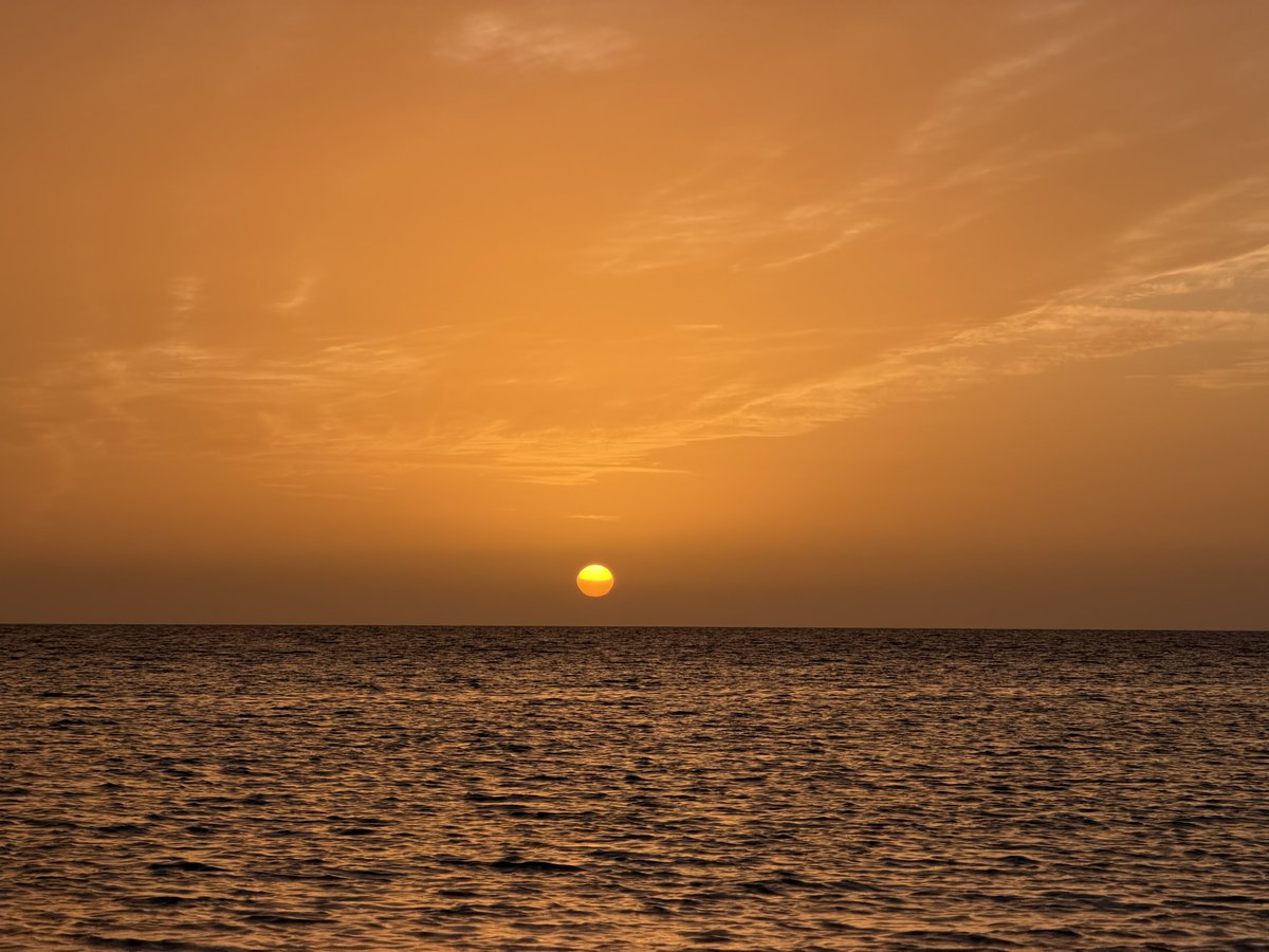 llllY77's tweet image. 