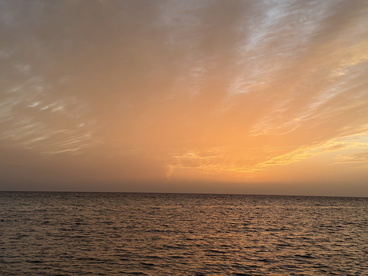 llllY77's tweet image. 