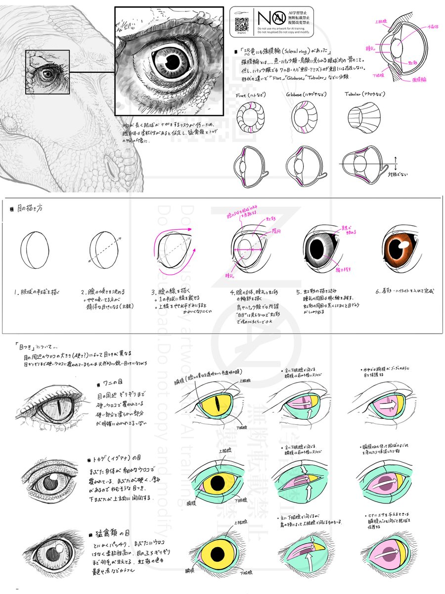 ワタクシ的な目の描き方とか、鳥の目の構造とか、主観と客観的事実がごちゃ混ぜになった「ティラノの目つきどうする～？」ってハナシです