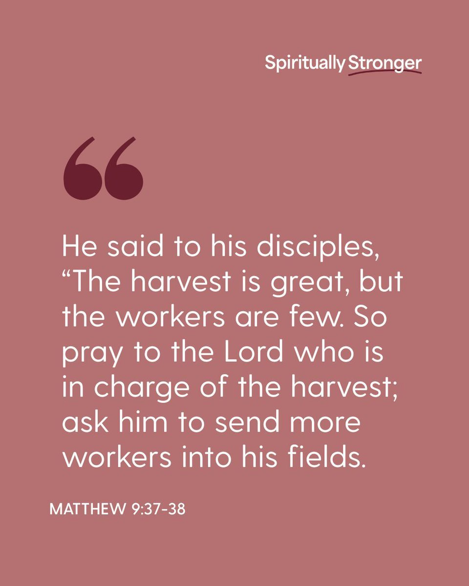 Annie F. Downs tweet media