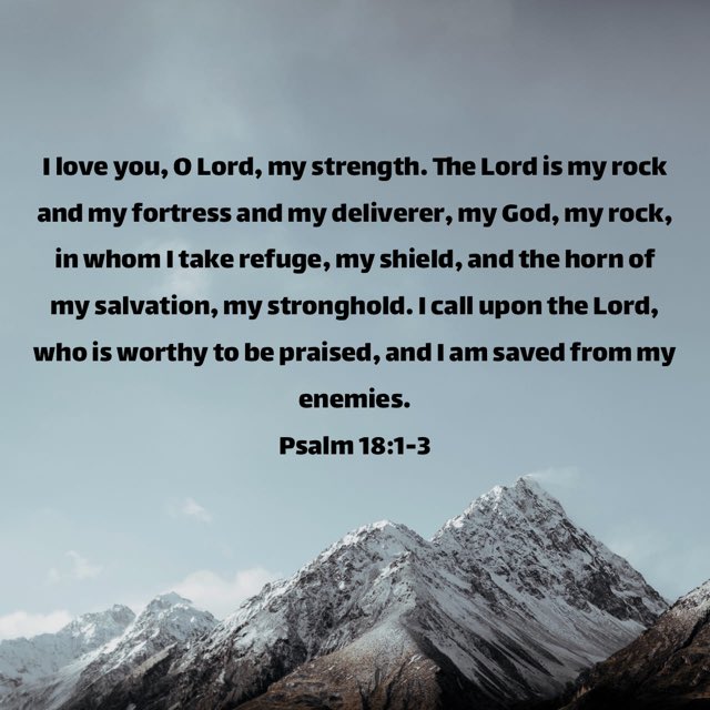 Carolyn Akens (@carolynakens) on Twitter photo 