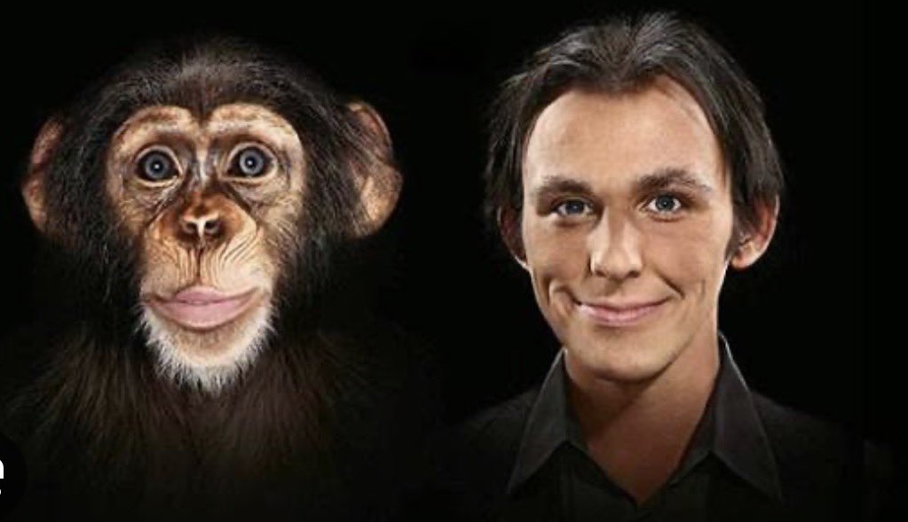 YallRacistNTrifflin tweet media