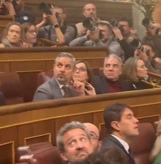 dsegoviaatienza's tweet photo. La cara de Bendodo. Llevan la maldad en vena. https://t.co/VywlGXj4US