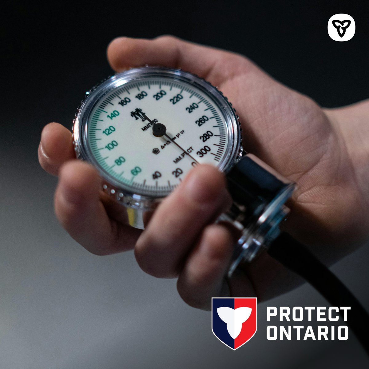 Ontario Forest Fires tweet media