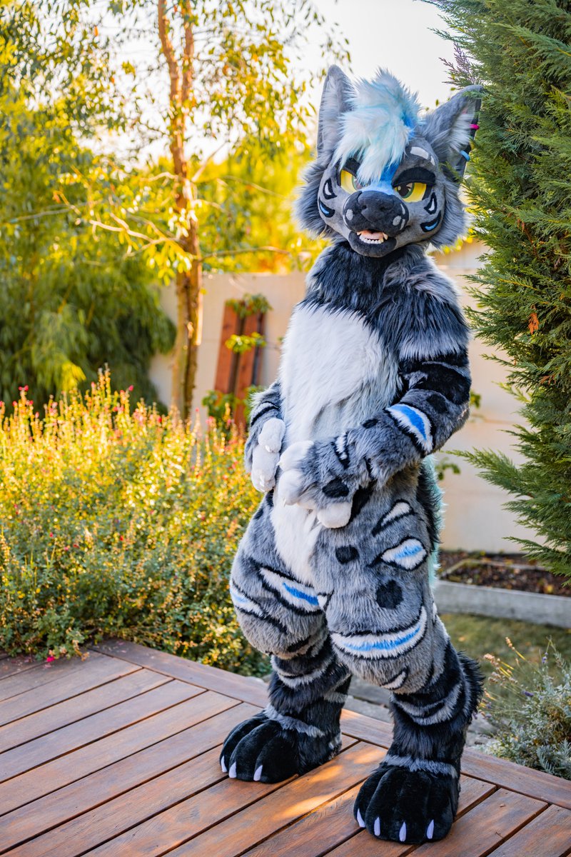 HybridLabs Fursuits 🐺🐉 tweet media