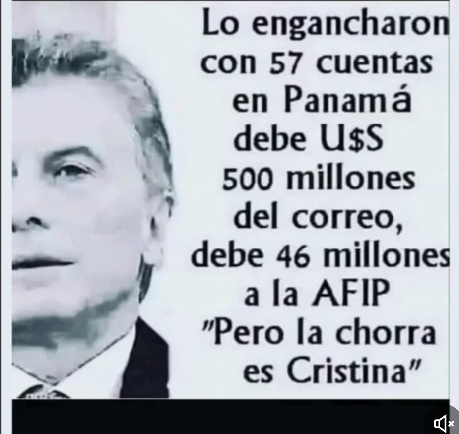 Antipeluca tweet media