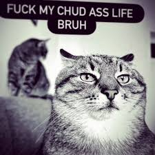 Mothmandraws (2 slots open) tweet media