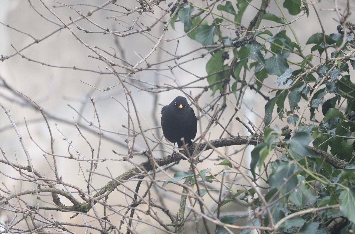 Markus Spath (@hackr) on Twitter photo 