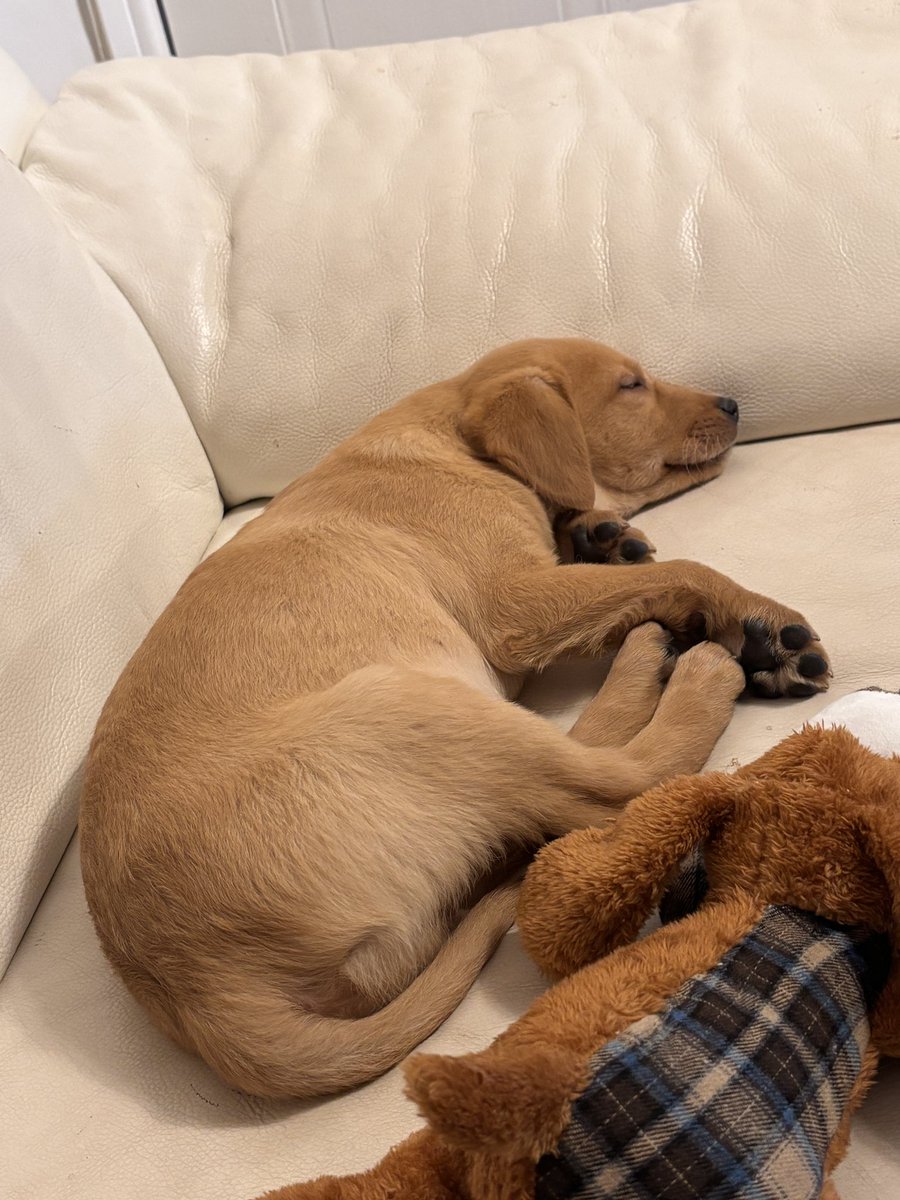 Mark Kelly (JASON WARD🎭) tweet media