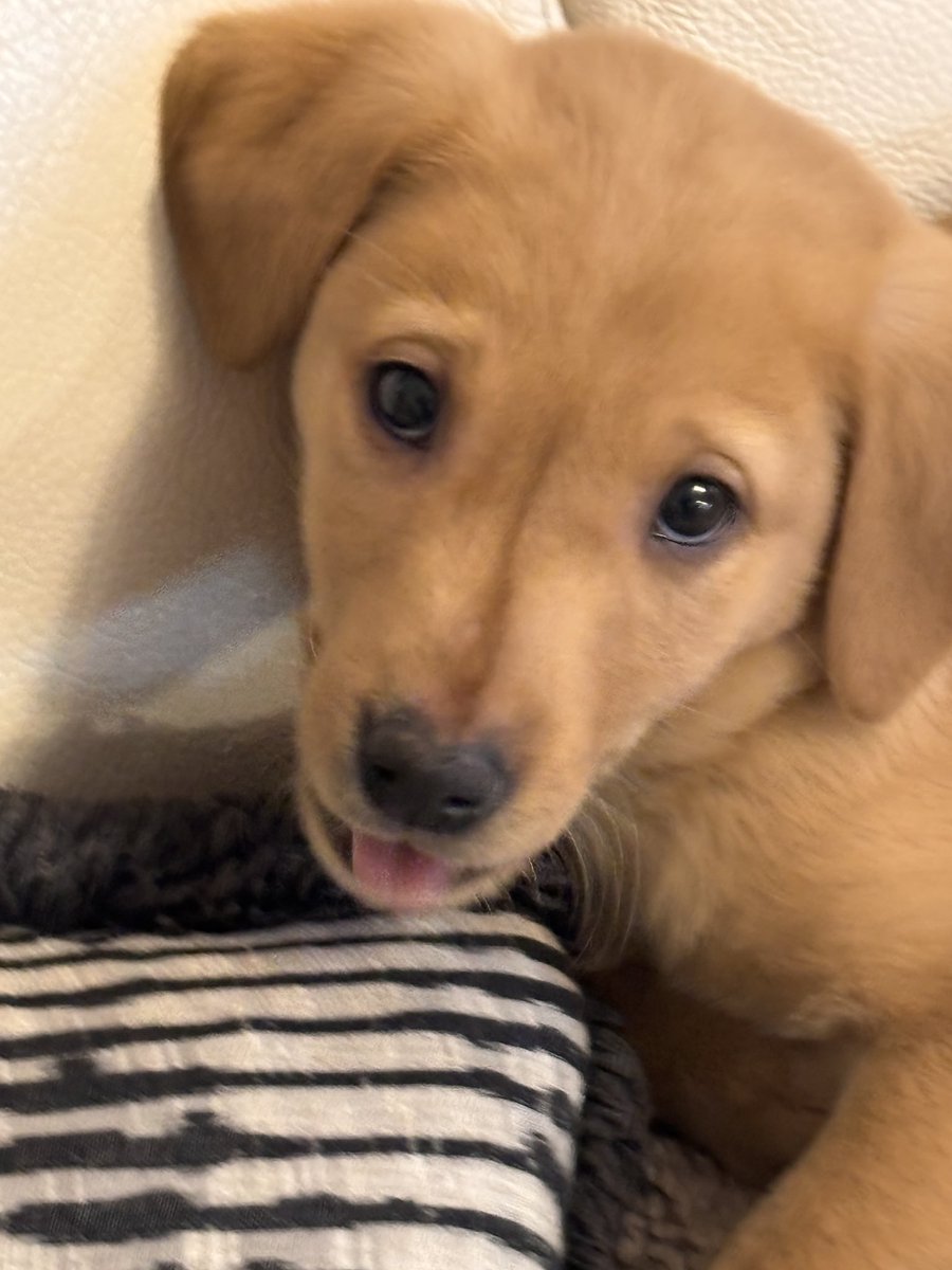 Mark Kelly (JASON WARD🎭) tweet media