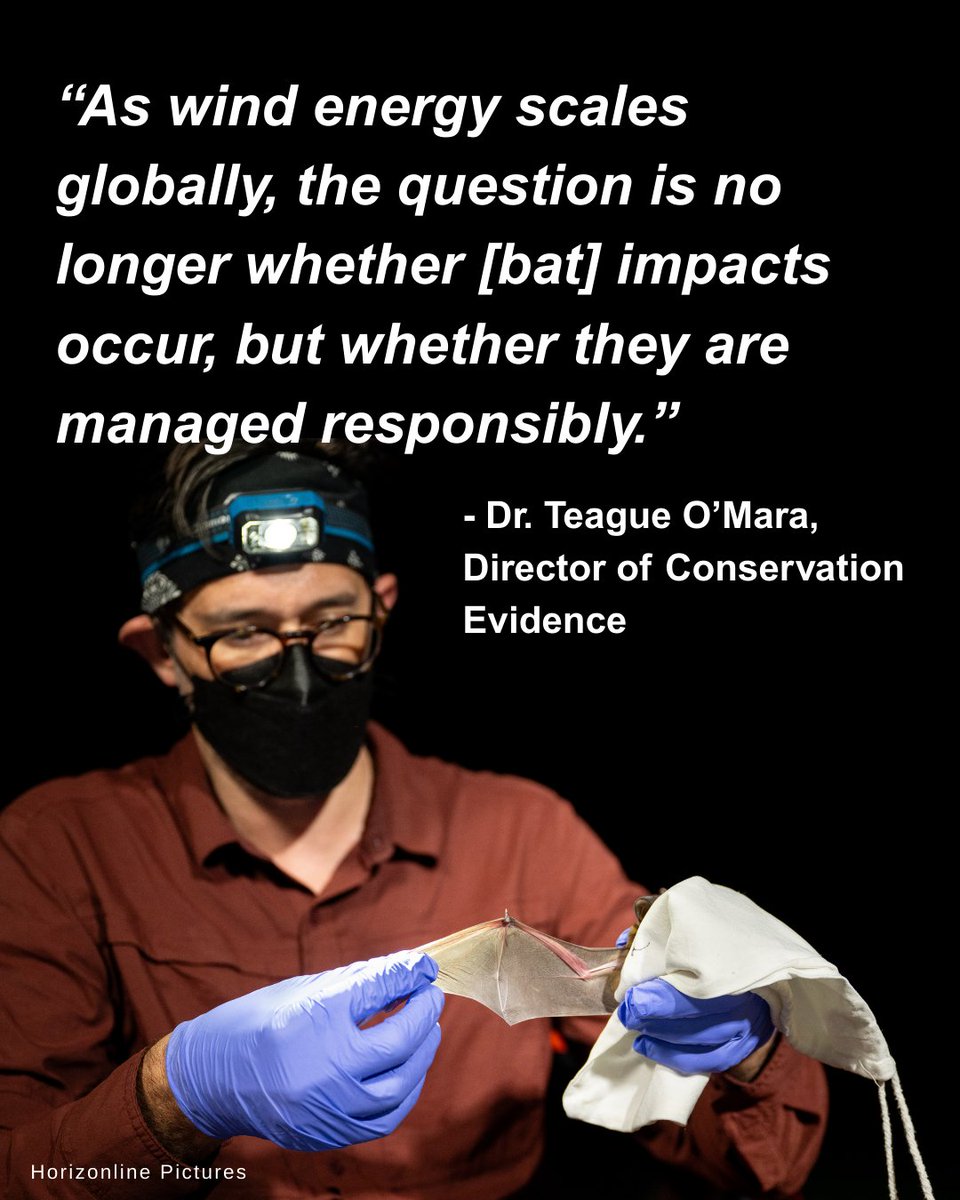 Bat Conservation International tweet media