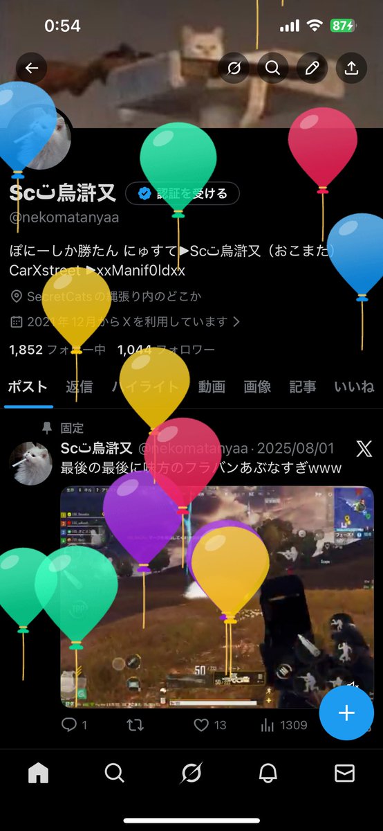 Z2・烏滸又 tweet media