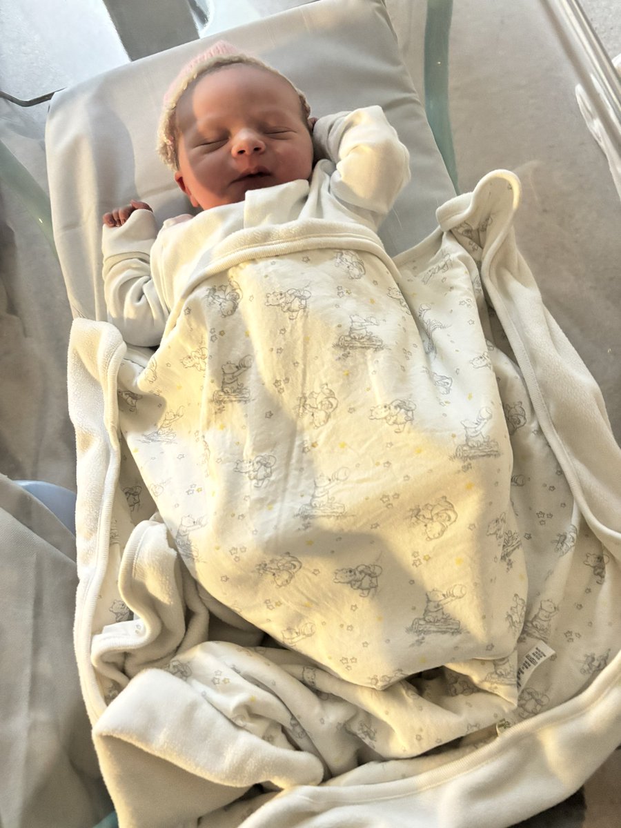 Lee Kennedy 𝕏 tweet media