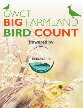 Perdix Digital tweet media