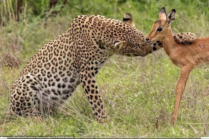BrownWalkalone's tweet photo. I will never hurt you,I only have your best interest at heart https://t.co/JQpBigMh9e