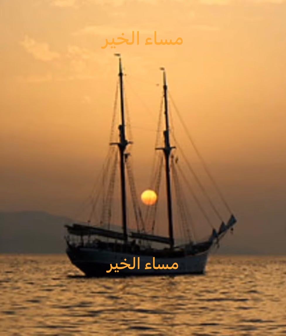 أبو غازي tweet media