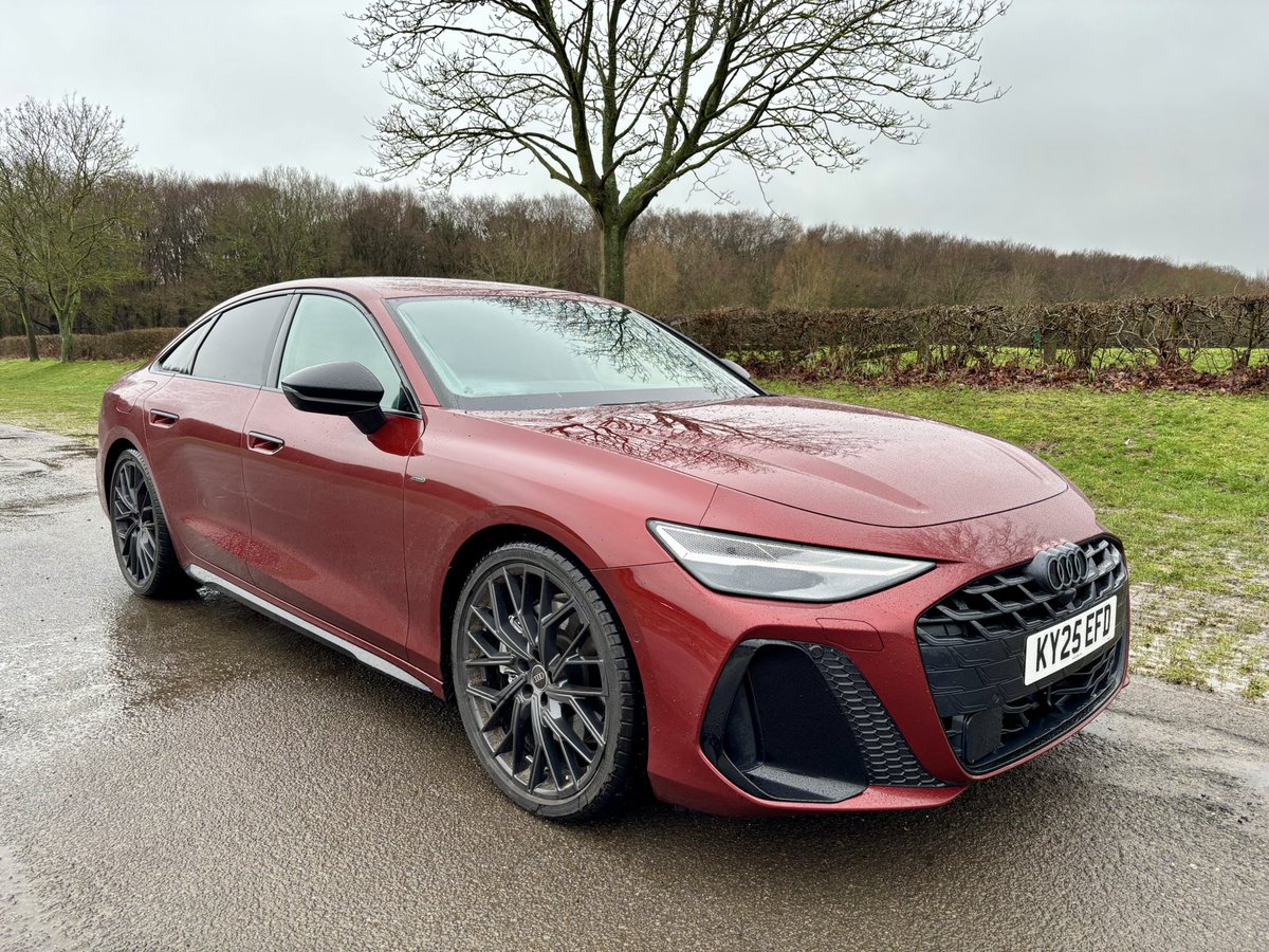 Tim Pitt tweet media