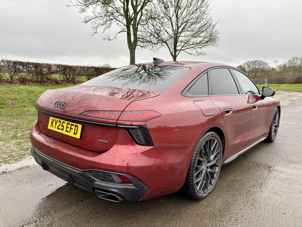 Tim Pitt tweet media